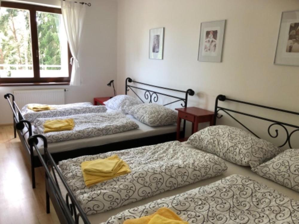 Apartmany Lipno Boucek Липно-над-Влтавой Экстерьер фото